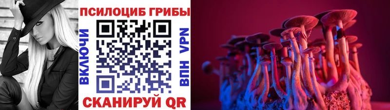 Галлюциногенные грибы мухоморы Новоульяновск