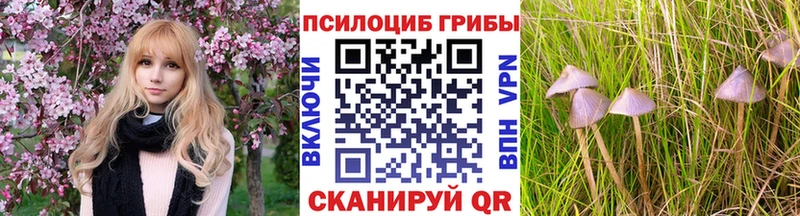 Галлюциногенные грибы MAGIC MUSHROOMS сколько стоит Новоульяновск
